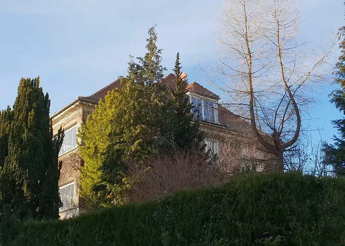 Mit Flair Apartment Dresden